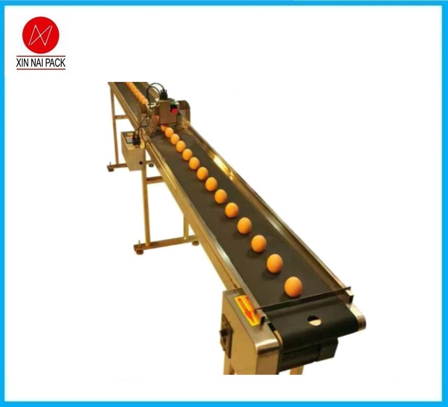 噴碼機(jī)配套生產(chǎn)線 全自動化智能傳送蛋品運(yùn)輸機(jī)